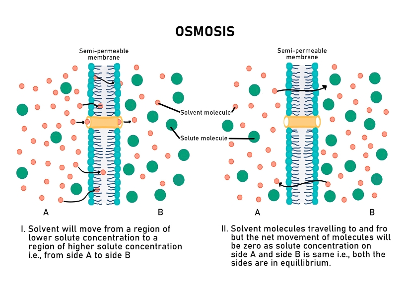 Business Consulting Blog